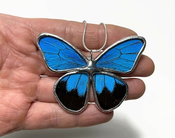 Blue pendant real butterfly wing jewelry gifts for her Papillo Ulysses glass pendant necklace included