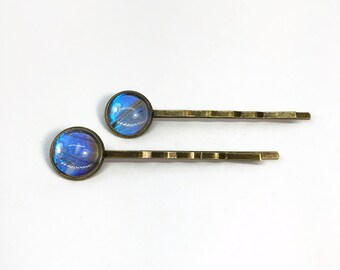 Iridescent blue set of 2 hair barrettes, bronze glass bobby pins, real Sulkowskyi Morpho butterfly wing jewelry, unique gifts for her