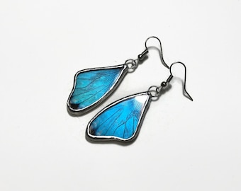 Blue morpho earrings, Butterfly jewelry, blue earrings, real butterfly wing, glass earrings, insect jewelry, butterfly taxidermy jewelry