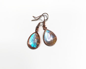 Blue iridescent rose gold dangle earrings real butterfly wing jewelry, glass teardrop earrings, Morpho sulkowskyi