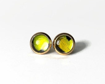 Yellow green earrings, Real butterfly wing jewelry, glass minimalist studs, teacher gifts, 10mm, gold, hypoallergenic