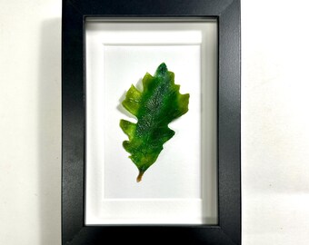 Oak Leaf Fused Glass, Nature Wall Art, Fall Picture, Unique Gifts for Her, Tree Home Decor, Realistic Three Dimensional Sculpture