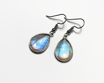 Iridescent butterfly earrings, blue earrings, teardrop earrings, Blue morpho Butterfly, glass earrings, real butterfly wing, hypoallergenic