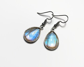 Real butterfly earring
