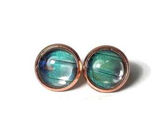 Teal green earrings real butterfly wing jewelry glass round stud earrings rose gold minimalist earrings gifts for friends hypoallergenic
