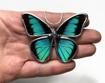 Teal Butterfly pendant real butterfly wing, glass necklace, recycled pendant, insect necklace, butterfly taxidermy