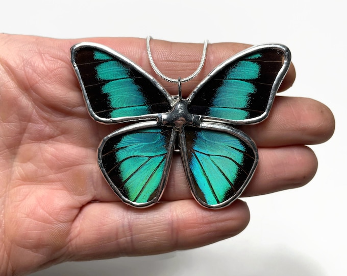 Featured listing image: Teal Butterfly pendant real butterfly wing, glass necklace, recycled pendant, insect necklace, butterfly taxidermy