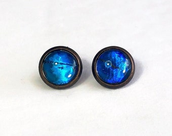 Blue iridescent stud earrings, real rhetenor Morpho butterfly jewelry, best friend gifts, Glass bronze earrings, hypoallergenic