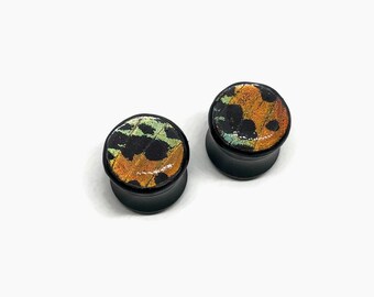 Iridescent plug earrings ear tunnels, real butterfly wing jewelry, Sunset moth, butterfly taxidermy jewelry, unique gifts