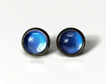 Blue bronze stud earrings real butterfly wing jewelry Didius Morpho butterfly unique gifts for mom hypoallergenic 8mm 10mm 12mm