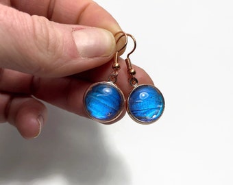 Blue butterfly earrings, rose gold glass earrings, real Didius morpho, butterfly wing jewelry, best friend gifts