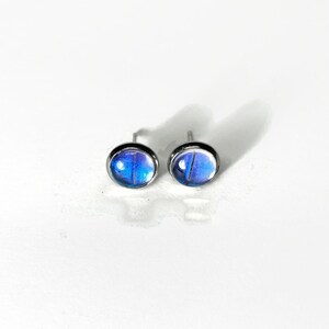 May include: A pair of silver stud earrings with blue and purple iridescent butterfly wing designs.
