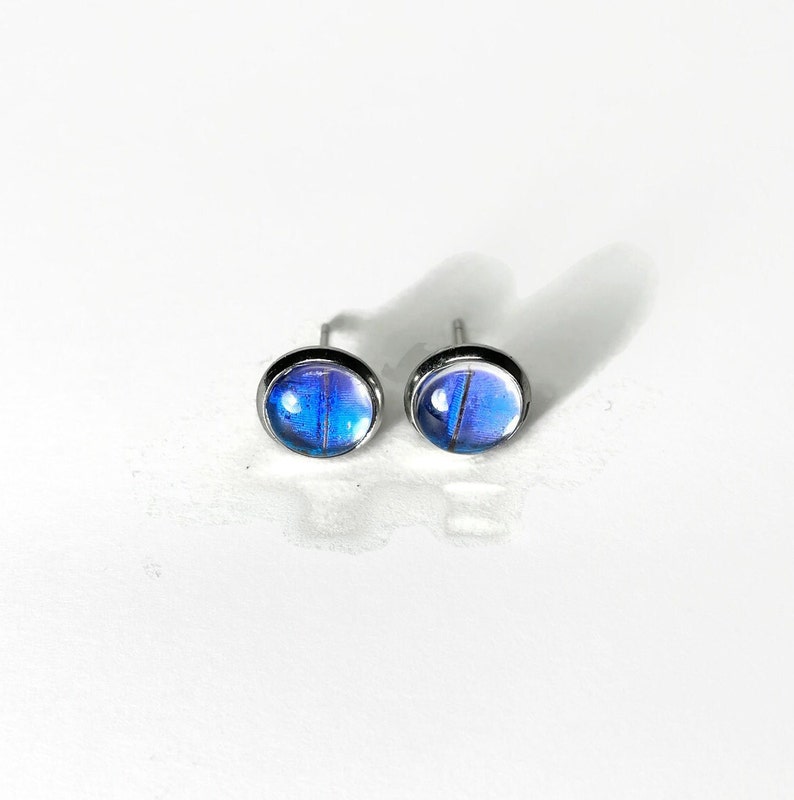 May include: A pair of silver stud earrings with blue and purple iridescent butterfly wing designs.