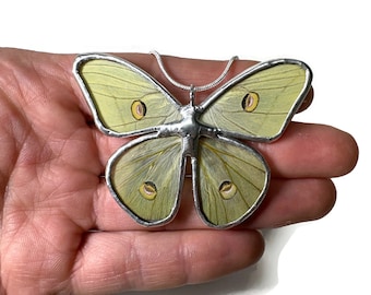 Luna moth pendant, Butterfly wing jewelry, unique gifts for her, stained glass butterfly, butterfly taxidermy, chain included