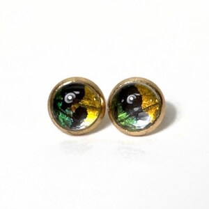 Multicoloured butterfly wing stud earrings, real butterfly jewelry, round glass gold studs, sunset moth, unique gifts for her, 10mm