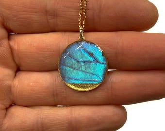 Blue pendant, iridescent, real butterfly wing jewelry, gifts for her, Blue Morpho butterfly, resin pendant