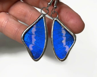 Blue morpho earrings, Butterfly jewelry, blue earrings, real butterfly wing, glass earrings, insect jewelry, butterfly taxidermy jewelry