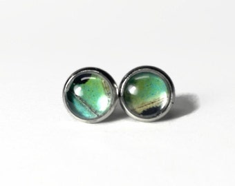 Handmade green and black stud earrings, real butterfly wing jewelry, round glass studs, nature inspired gifts for her