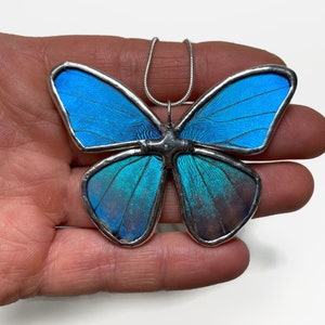 May include: A silver chain necklace with a blue butterfly pendant. The butterfly wings are made of stained glass and have a gradient of blue and green colours.