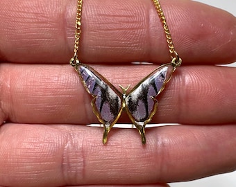 Purple pendant, iridescent, real butterfly wing jewelry, colotis regina, resin pendant, unique gifts, necklace included