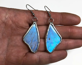 Earrings, blue, Butterfly jewelry, Blue morpho butterfly, insect earrings, stained glass earrings, butterfly taxidermy jewelry, recycled