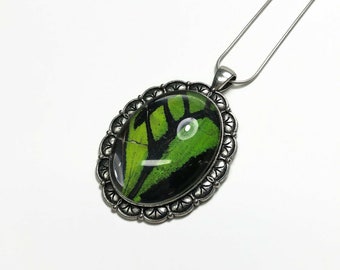 Green black pendants real butterfly wing jewelry best friend gifts glass oval pendant recycled pendant necklace included