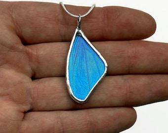 Butterfly Jewelry, Unique jewelry, butterfly Pendant, butterfly necklace, blue morpho butterfly, insect jewelry, real butterfly wing, gifts