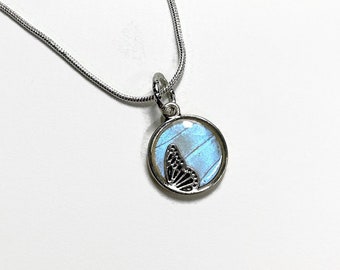 Blue pendant, iridescent, real butterfly wing jewelry, Blue Morpho butterfly, resin pendant, necklace included