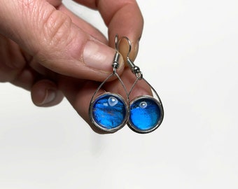 Blue iridescent tear drop earrings real butterfly wing Jewelry morpho rhetenor glass dangle earrings unique gifts for her presents