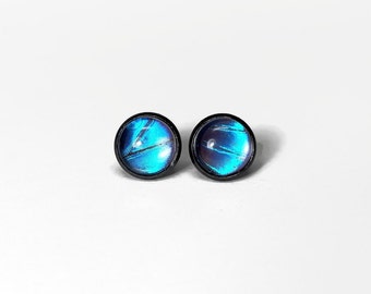 Real Butterfly Wing Earrings - Blue Gun Metal Studs, Ethically Sourced Jewelry, Mom's Gift, Hypoallergenic, Assorted Sizes