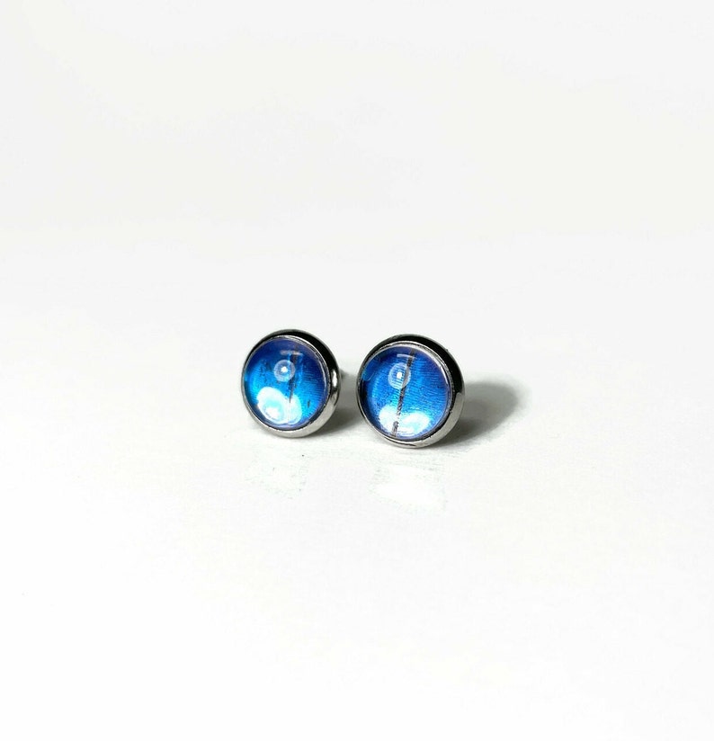 May include: A pair of silver stud earrings with blue and white butterfly wing designs.