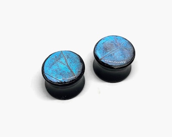 Ear plugs blue ear tunnels, butterfly jewelry, iridescent, Blue morpho Butterfly, real butterfly wing, insect jewelry, 4mm-20mm