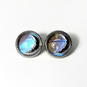 Puede incluir: Un par de pendientes de plata con un diseño de media luna. La luna está hecha de alas de mariposa azul iridiscente y marrón.