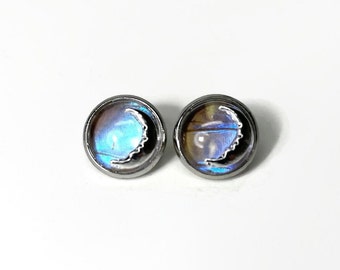 Blue morpho moon stud earrings, real butterfly wing jewelry, nature inspired gifts, handcrafted earrings