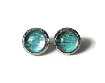 Nature Inspired Teal Green Stud Earrings, Real Butterfly Wing Jewelry, Minimalist Glass Earrings, Gifts for Girlfriend