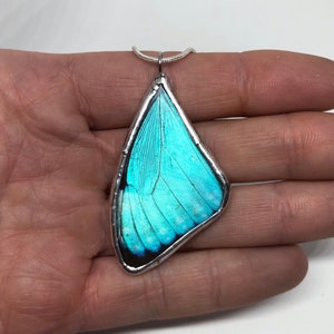 Butterfly Jewelry, Unique jewelry, butterfly Pendant, butterfly necklace, blue morpho butterfly, insect jewelry, real butterfly wing, gifts