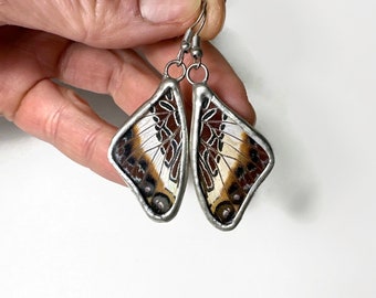 Earrings brown and white butterfly wing, glass earrings, real butterfly, insect jewelry, stained glass wing, Butterfly taxidermy