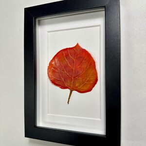 May include: A framed pressed leaf with a black frame and a white mat. The leaf is a vibrant orange and red color.