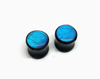 Iridescent Ear plugs blue ear tunnels, real butterfly wing jewelry, didius morpho butterfly