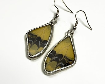 Real butterfly wing earrings, unique gifts for her, nature inspired jewelry, yellow swallowtail earrings, glass dangle earrings