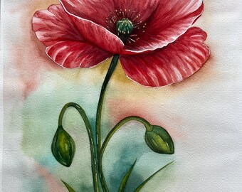 Papaver