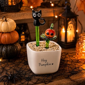 May include: A white square ceramic planter filled with light-coloured gravel, featuring the black text Hey Pumpkin with a heart. Two glass plant stakes are inserted into the gravel: one is a black cat figure and the other is an orange pumpkin figure.
