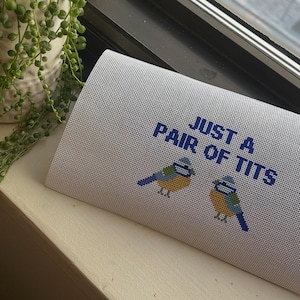 Handpainted Needlepoint Canvas- Pair of Birds