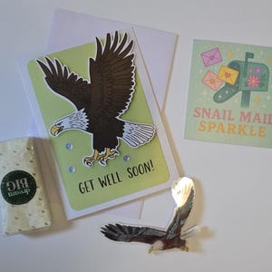 Gute Besserung Karte – Weißkopfseeadler Design für Vogelbeobachter, Ermutigung & Heilungswünsche