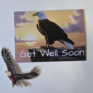 Tarjeta de pronta recuperación con una majestuosa águila calva sobre una roca: un aliciente para observadores de aves y amantes de la naturaleza.