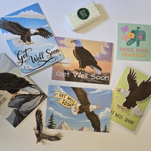 Gute Besserung Karten 10er Set – Majestätische Weißkopfseeadler Designs für Vogelbeobachter – Ermutigungskarten mit 5 verschiedenen Stilen