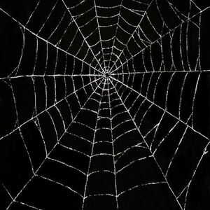 Spiderweb Unisex Tee, Nature Lover Shirt, Arachnid Gift, Wildlife Graphic Top, Outdoor Enthusiast Apparel