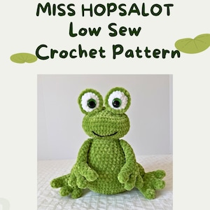 Frog Crochet Pattern: Miss Hopsalot the Frog, Low-Sew Amigurumi Toy (PDF Download)