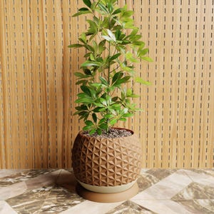May include: A green leafy plant in a brown geometric planter with a white base. The planter is sitting on a brown and white tiled floor in front of a wood panel wall.