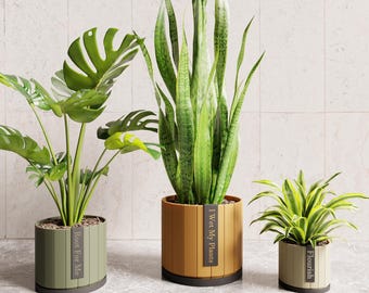 May include: Three potted plants in cylindrical containers with vertical slats. The left olive green pot says Root For Me, the center mustard yellow pot says I Wet My Plants, and the right light green pot says Flourish.